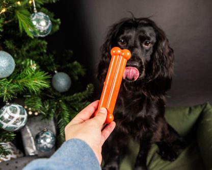 TastyBone, Festive Roast Goose Chew Toy - Image 4