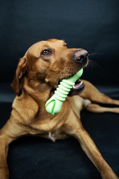 TastyBone Dental Parsley Chew Toy - Image 2