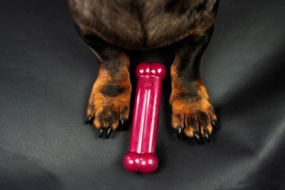 TastyBone, Roast Beef & Red Wine Chew Toy - Image 4