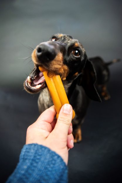 TastyBone, Lamb Chew Toy - Image 5