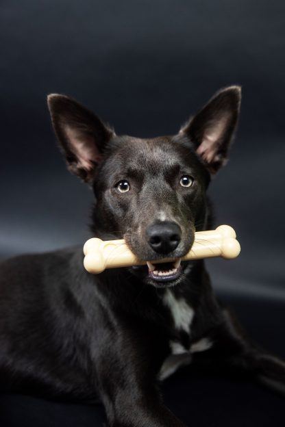 TastyBone, Cheese Chew Toy - Image 4