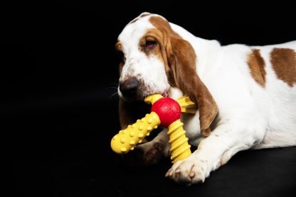 TastyBone, QuattroBone Hoisin Duck Chew Toy - Image 3