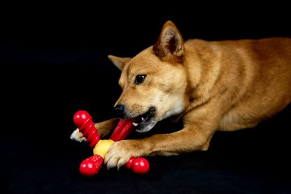 TastyBone, QuattroBone Hoisin Duck Chew Toy - Image 4