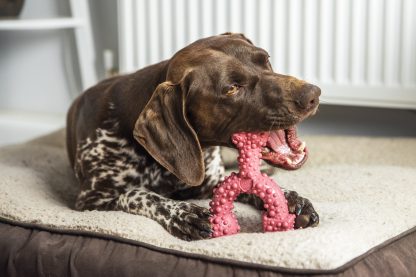 TastyBone, Dental TrioBone Cinnamon Mint Chew Toy - Image 3