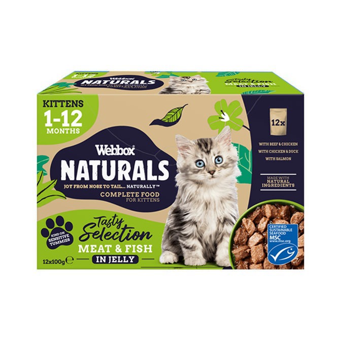 Highest Rated Wet Cat Food For Kittens With Arthritis photo