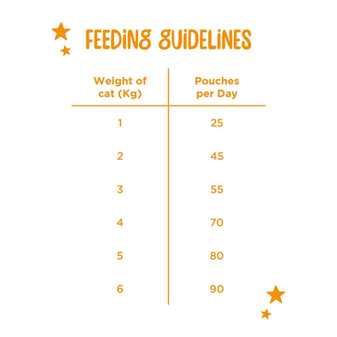 Webbox, Complete Dry Food - Salmon & Chicken for Adult Cats - Image 2