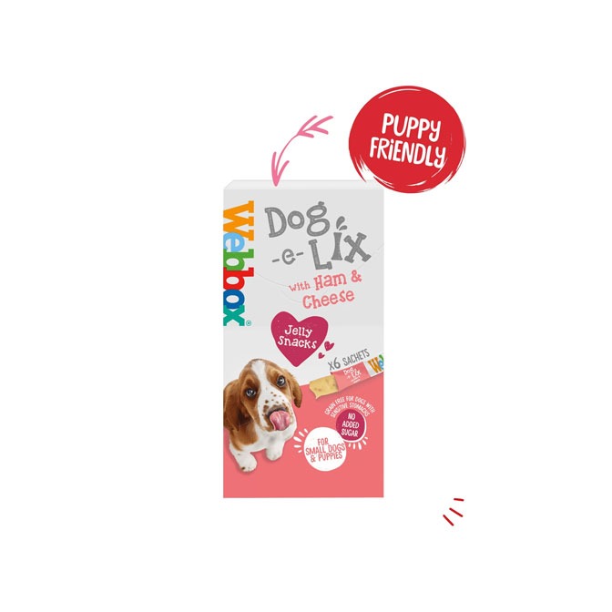 Webbox, Dog e Lix with Ham & Cheese Creamy Treats for Dogs