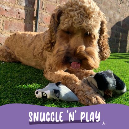 AniMate, Snuggle N' Play Rocky Raccoon Toy for Dogs