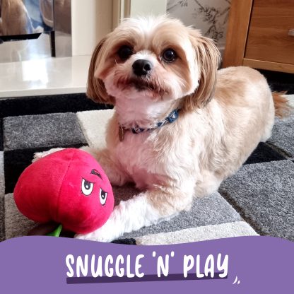 aniMate, Snuggle N' Play Apple Toy for Dogs - Image 3