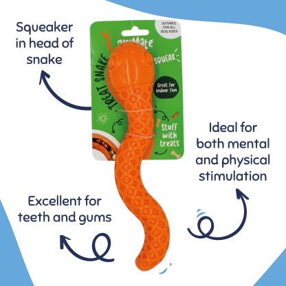 aniMate, Dental N' Chew Treat Snake Toy for Dogs