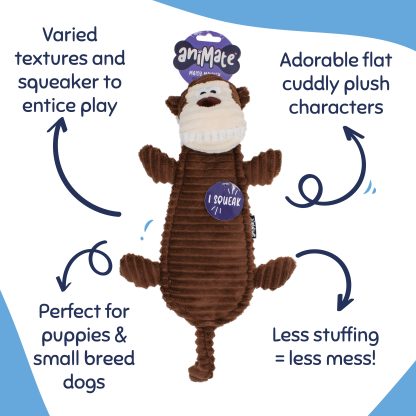 AniMate, Snuggle N' Play Maisy Monkey Toy for Dogs