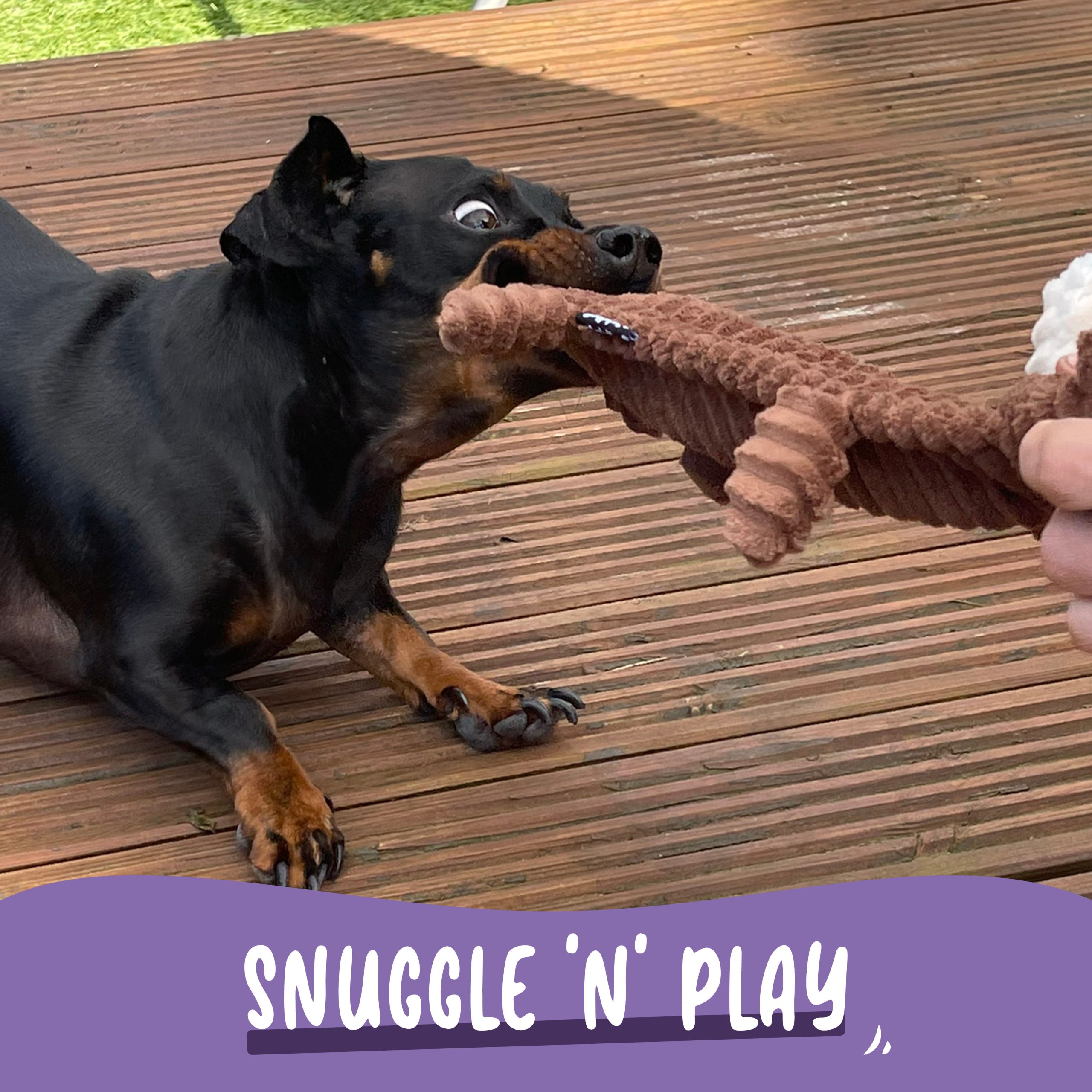 AniMate, Snuggle N' Play Maisy Monkey Toy for Dogs - Image 3