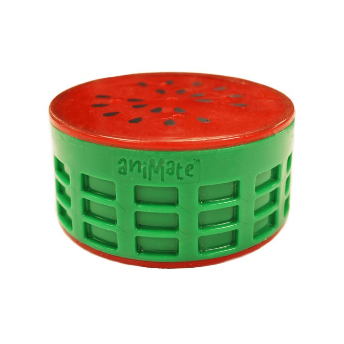 AniMate, Melon Cooling Fruit Toy for Dogs