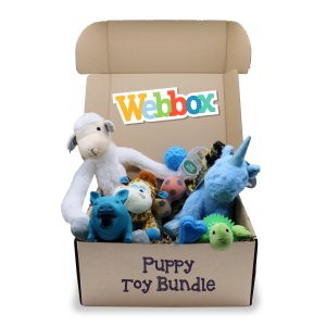 Webbox, Puppy Toy Bundle Blue