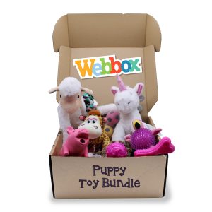 Webbox, Puppy Toy Bundle Pink