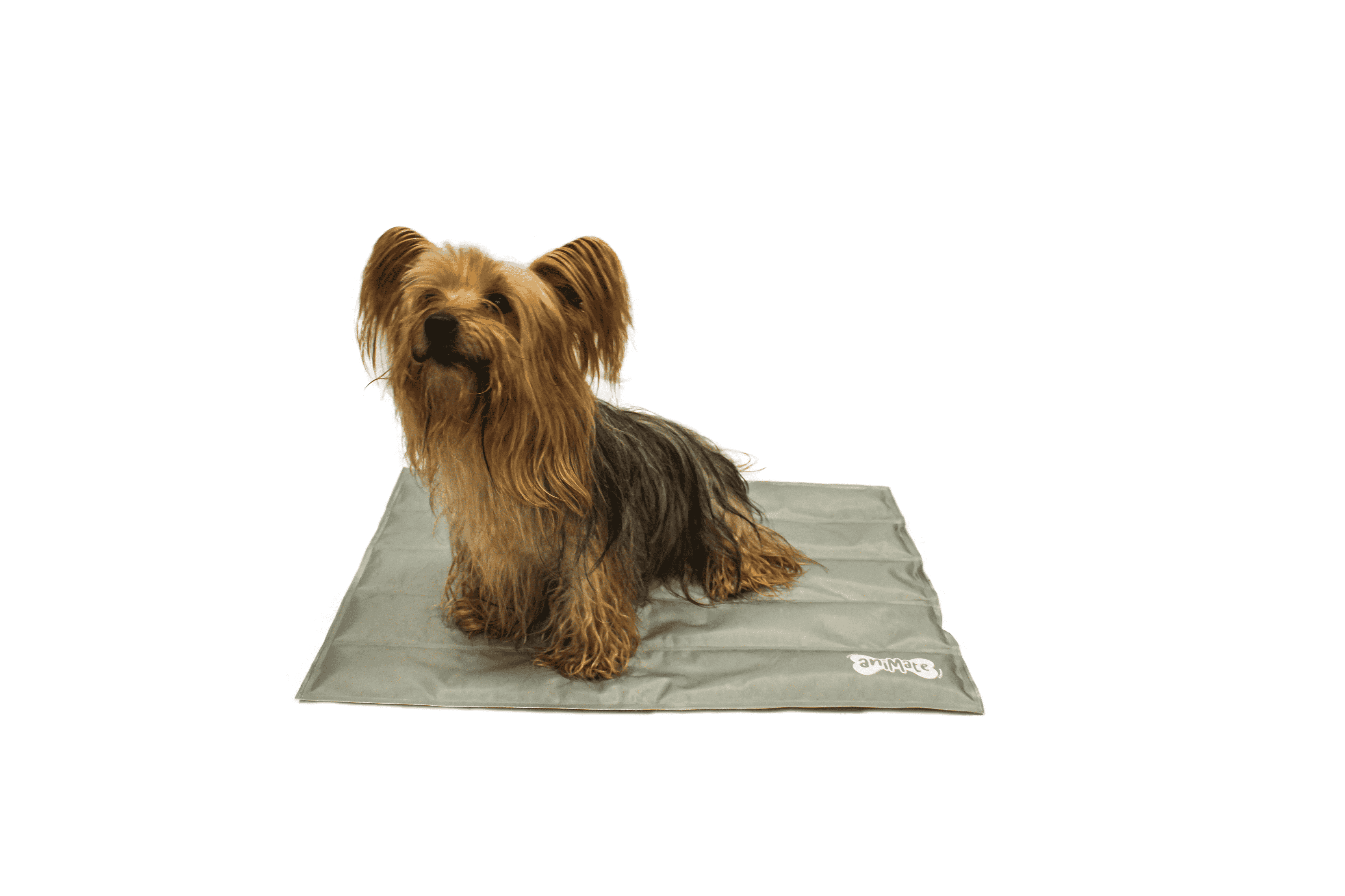 AniMate, Grey Pet Cooling Mat for Dogs