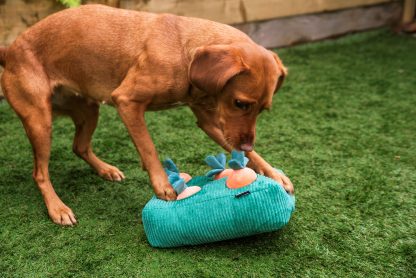 Webbox, Interactive Carrot Patch Large Dog Toy - Image 4