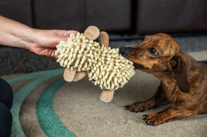 Webbox, Cuddle Noodle Sheep Dog Toy - Image 3