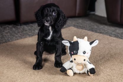 Webbox, Puppy Heart Beat Cow Dog Toy - Image 4