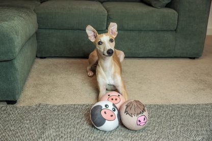 Webbox, Dog Toy Throw Farmyard Squishys - Image 3