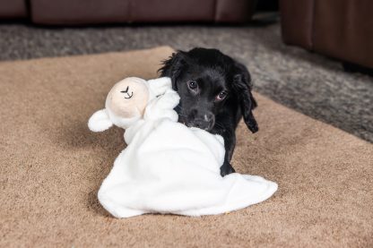 Webbox, Dog Toy Puppy Soothing Blanket - Lamb - Image 2