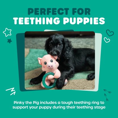 Webbox, Dog Toy Puppy Pig Teething Ring - Image 3