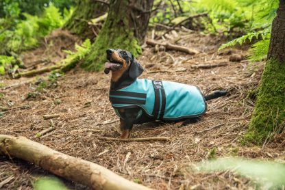 AniMate, Dachsund Padded Dog Coat Teal - Image 2