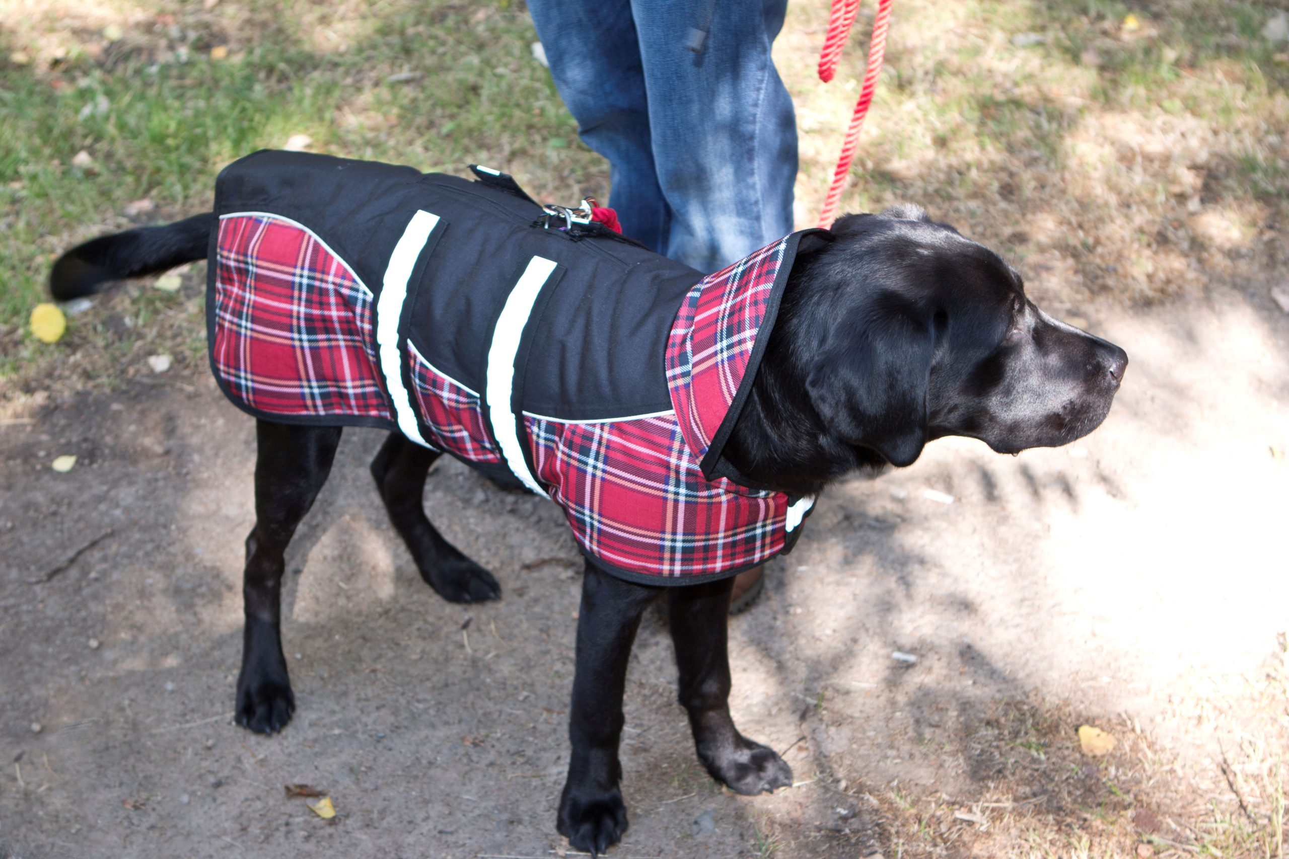 AniMate, Black & Red Tartan Padded Waterproof Harness Dog Coat - Image 2