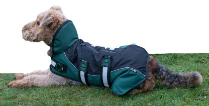 AniMate, Non-Padded Waterproof Harness Dog Coat, Black & Green