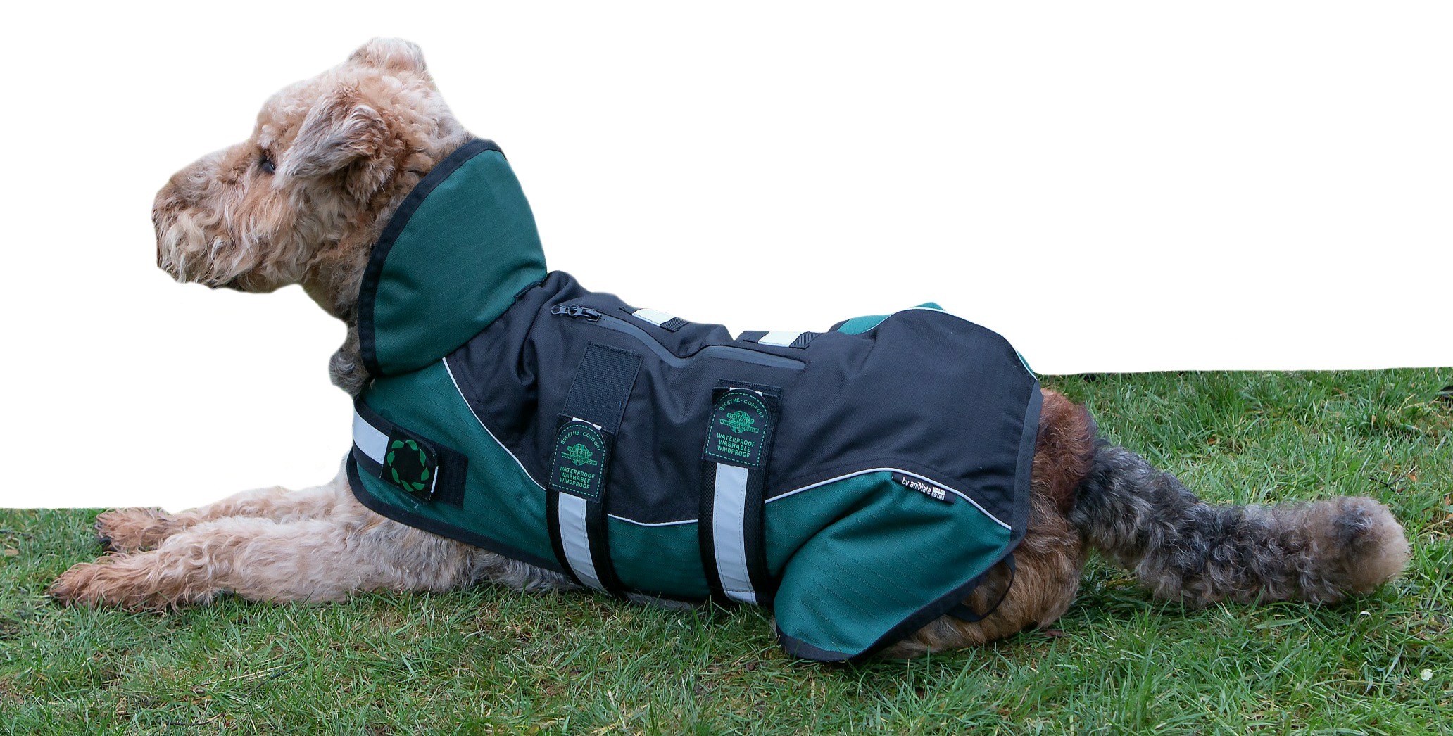 AniMate, Non-Padded Waterproof Harness Dog Coat, Black & Green - Image 2