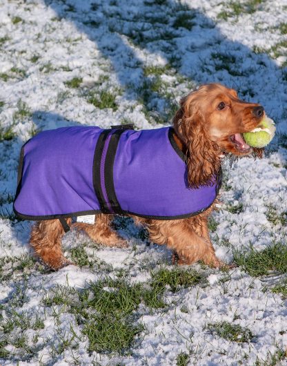 AniMate, Purple Padded Waterproof Dog Coat