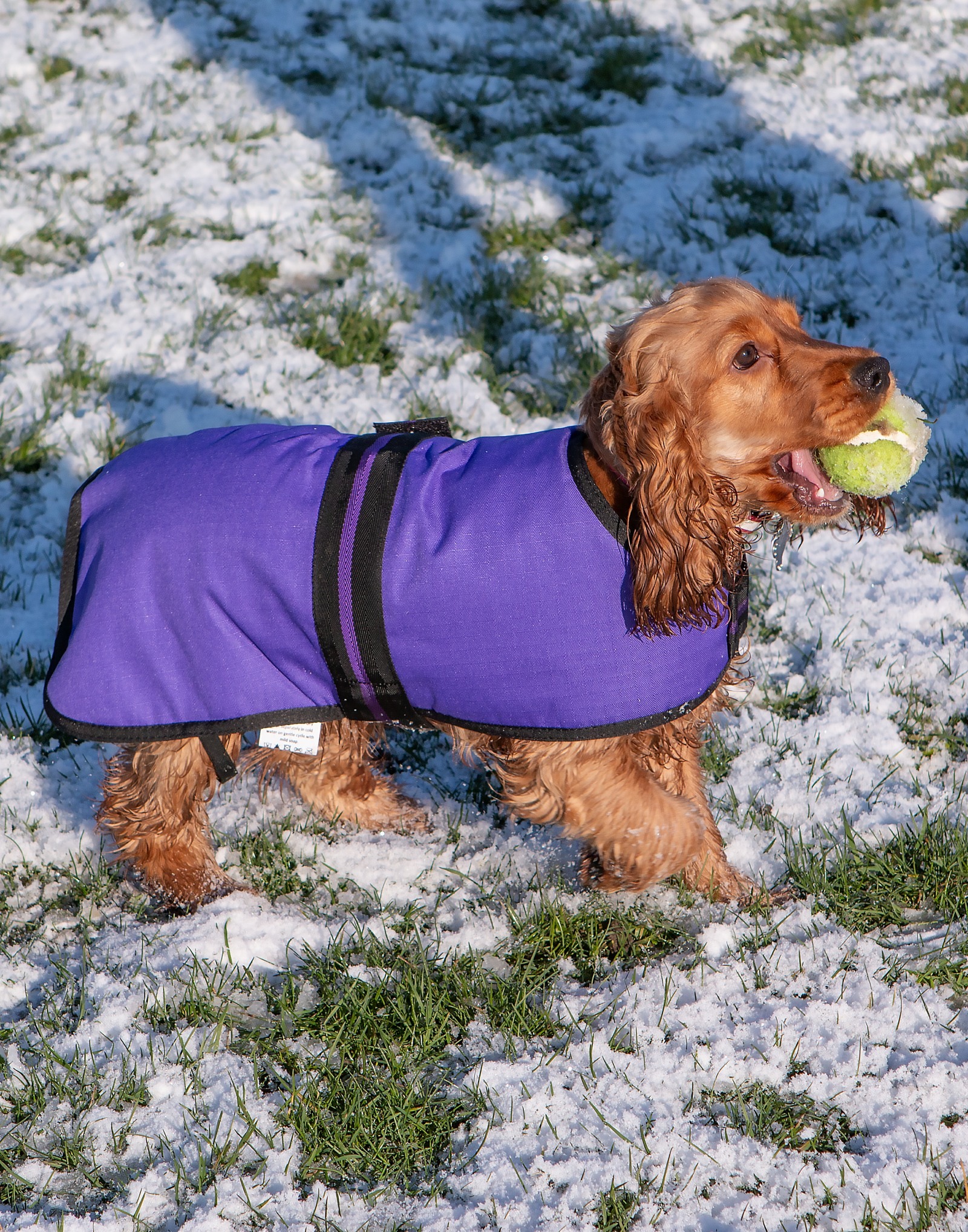 AniMate, Purple Padded Waterproof Dog Coat - Image 2