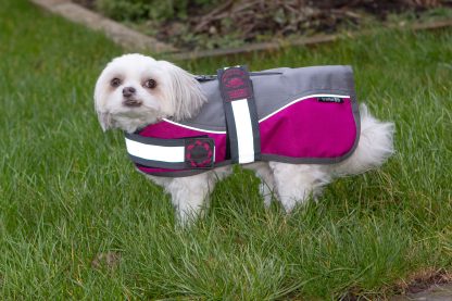 AniMate, Padded Waterproof Harness Dog Coat, Grey & Raspberry - Image 2