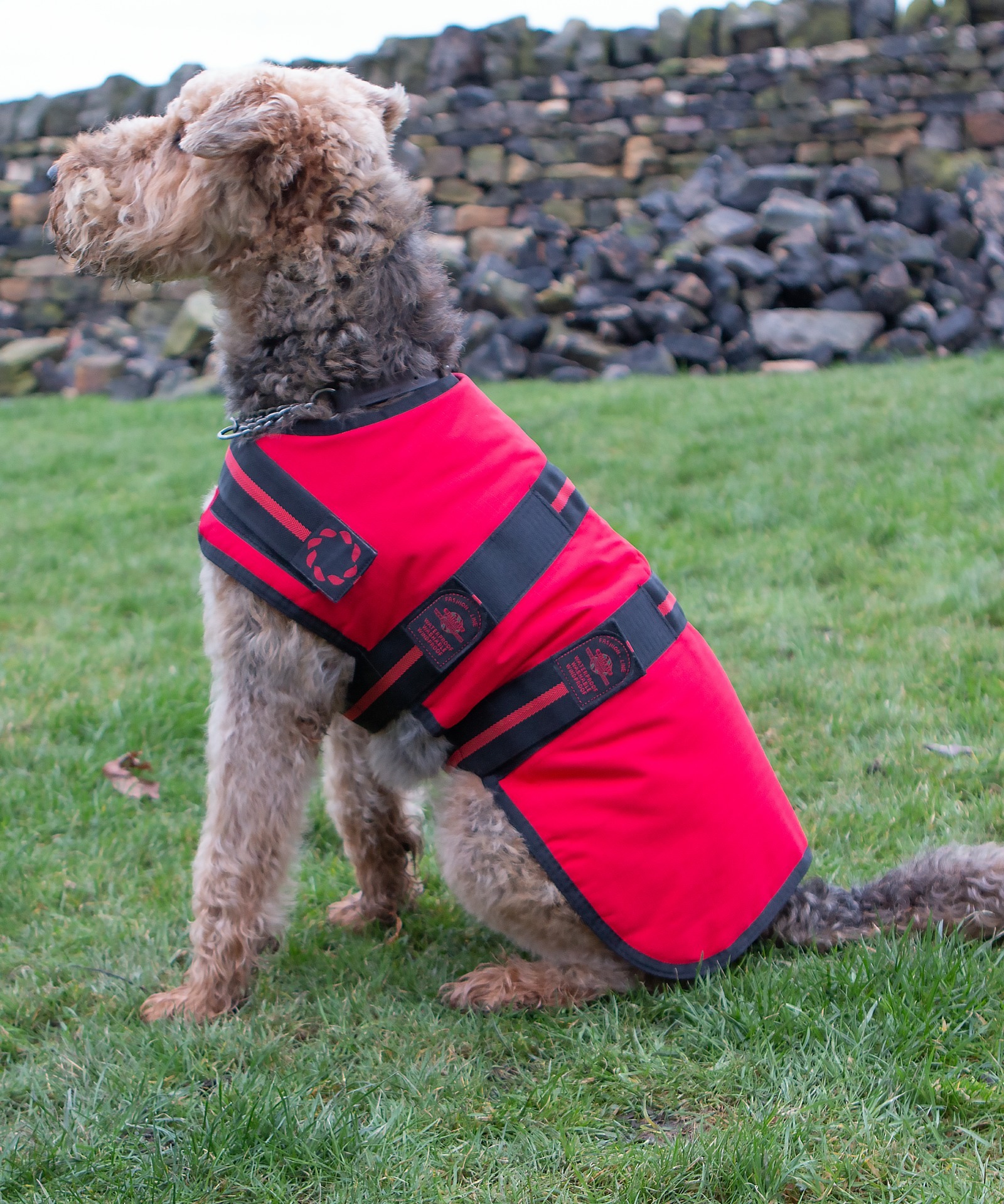AniMate, Red Padded Waterproof Dog Coat - Image 2
