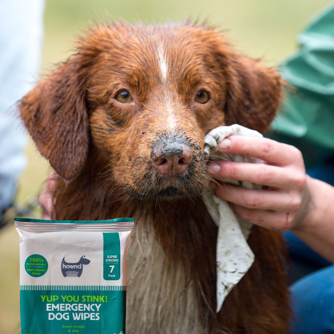 Hownd, Yup You Stink! Emergency Biodegradable Dog Wipes - Image 2