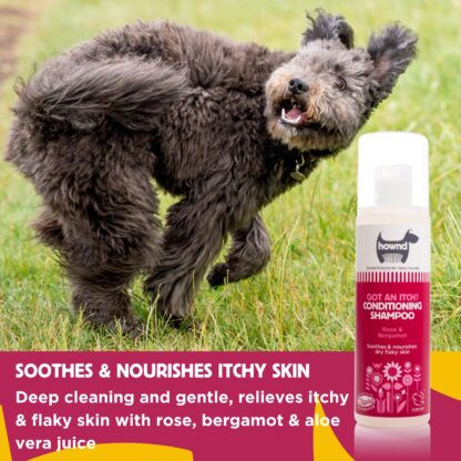 Hownd, Got An Itch? Conditioning Shampoo (250ml) - Image 2