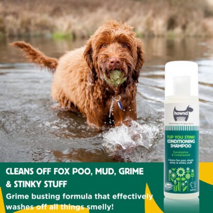 Hownd, Yup You Stink! Conditioning Shampoo (250ml) - Image 2