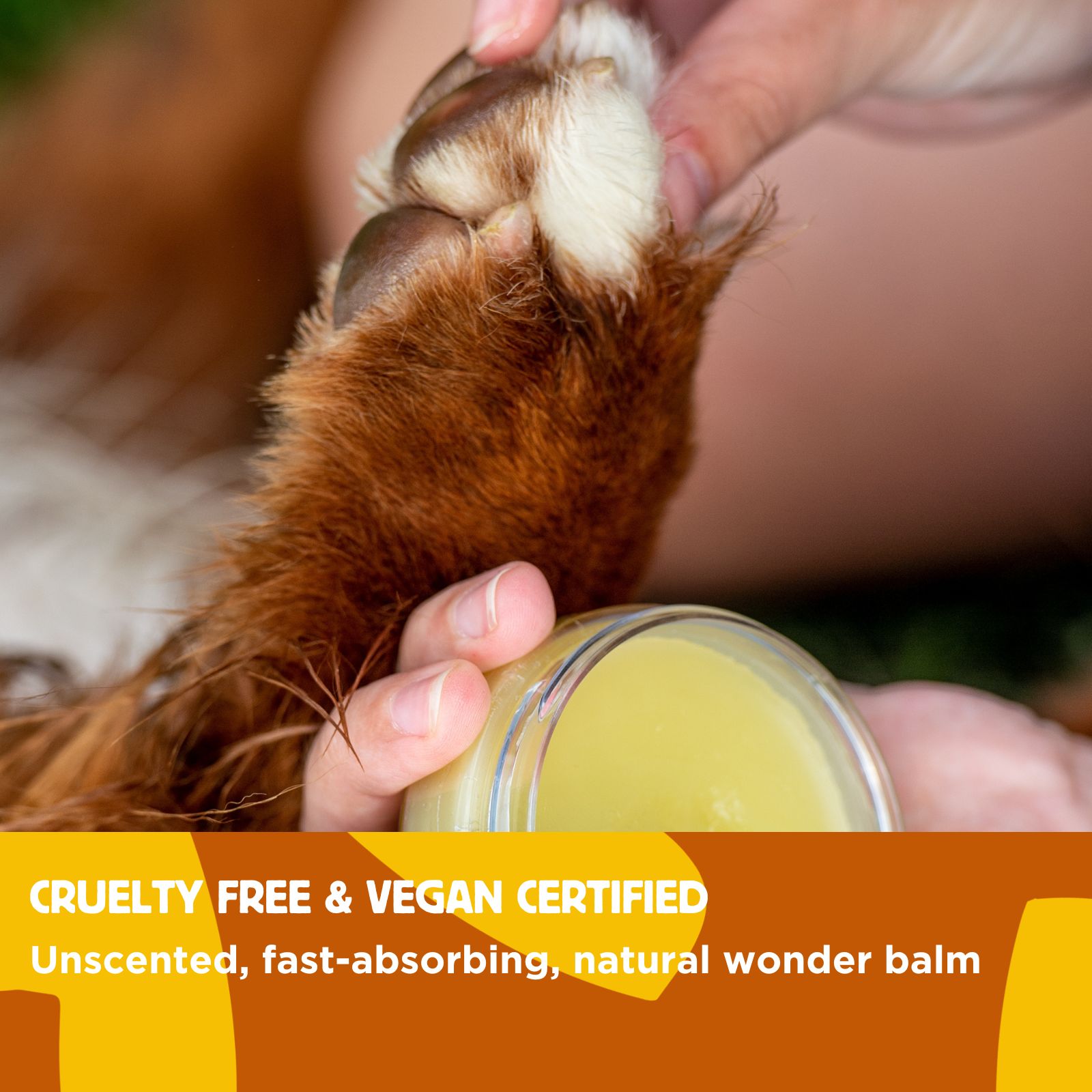 Hemp by Hownd Skin, Nose and Paw Balm with Sun Protection (50g) - Image 2