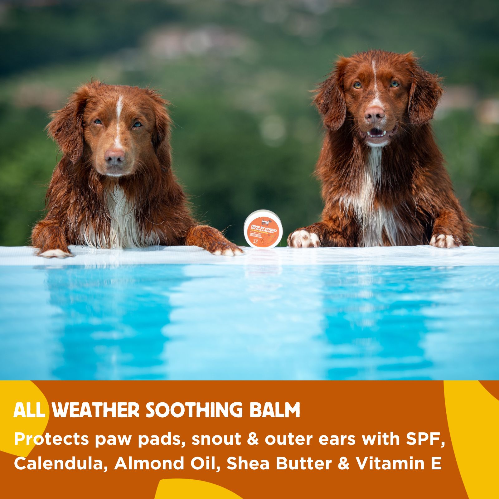 Hemp by Hownd Skin, Nose and Paw Balm with Sun Protection (50g) - Image 3