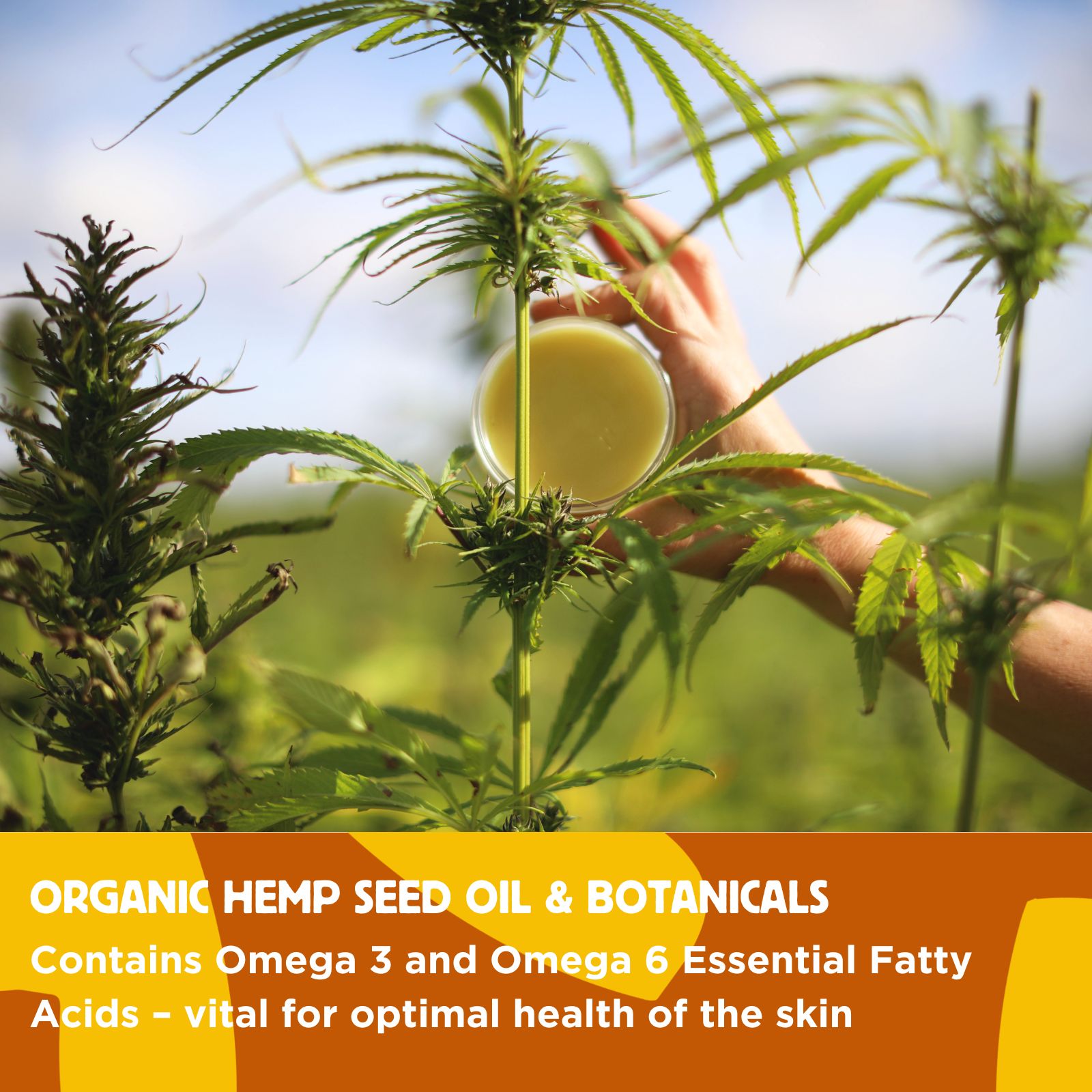 Hemp by Hownd Skin, Nose and Paw Balm with Sun Protection (50g) - Image 4