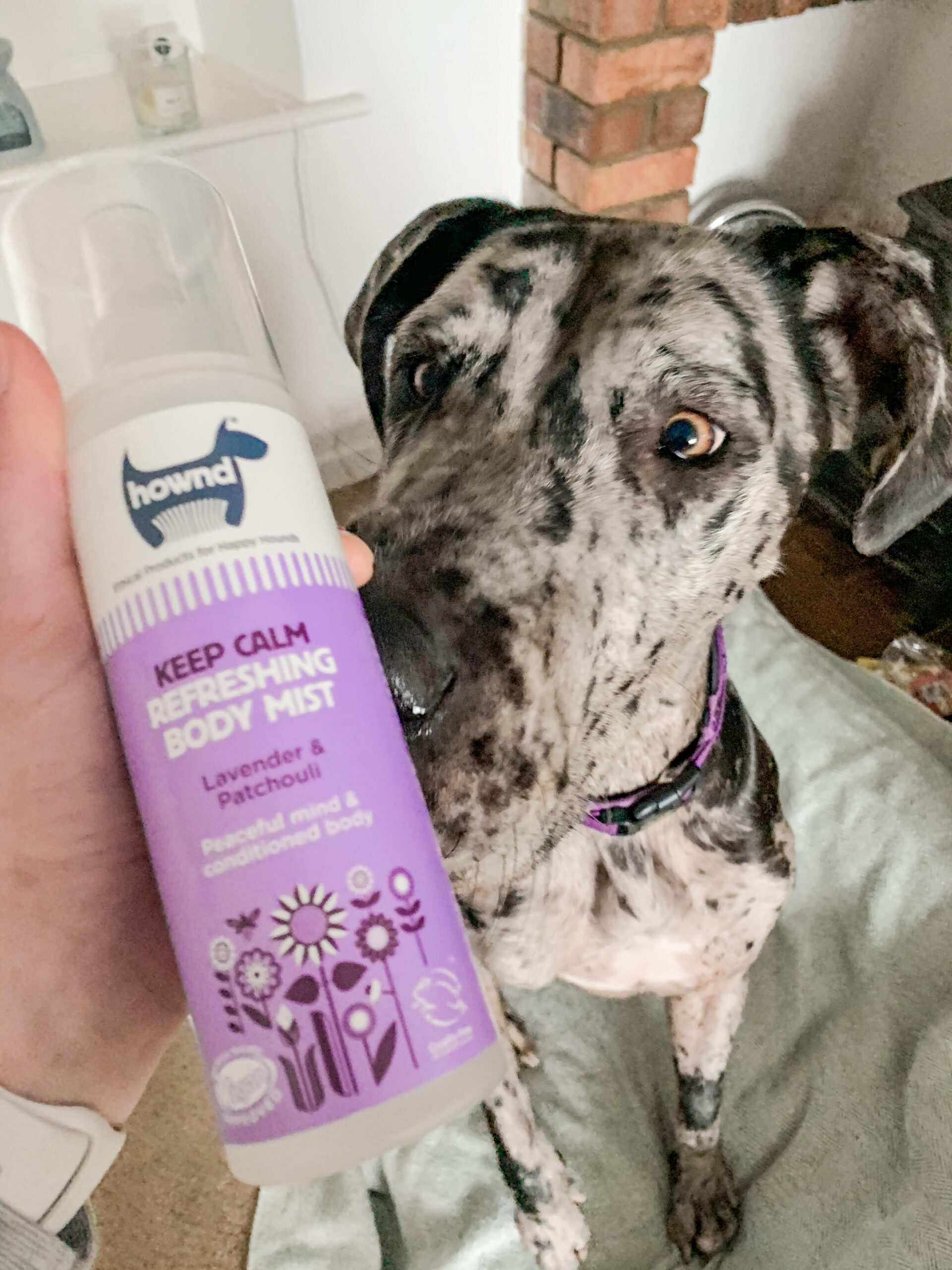 Hownd, Keep Calm Refreshing Body Mist (250ml) - Image 2