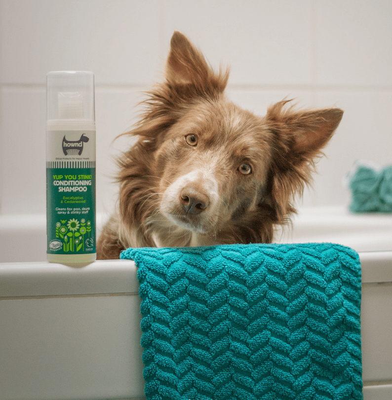 Hownd, Yup You Stink! Conditioning Shampoo (250ml) - Image 3