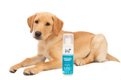 Hownd, Playful Pup Conditioning Shampoo 250ml - Image 2
