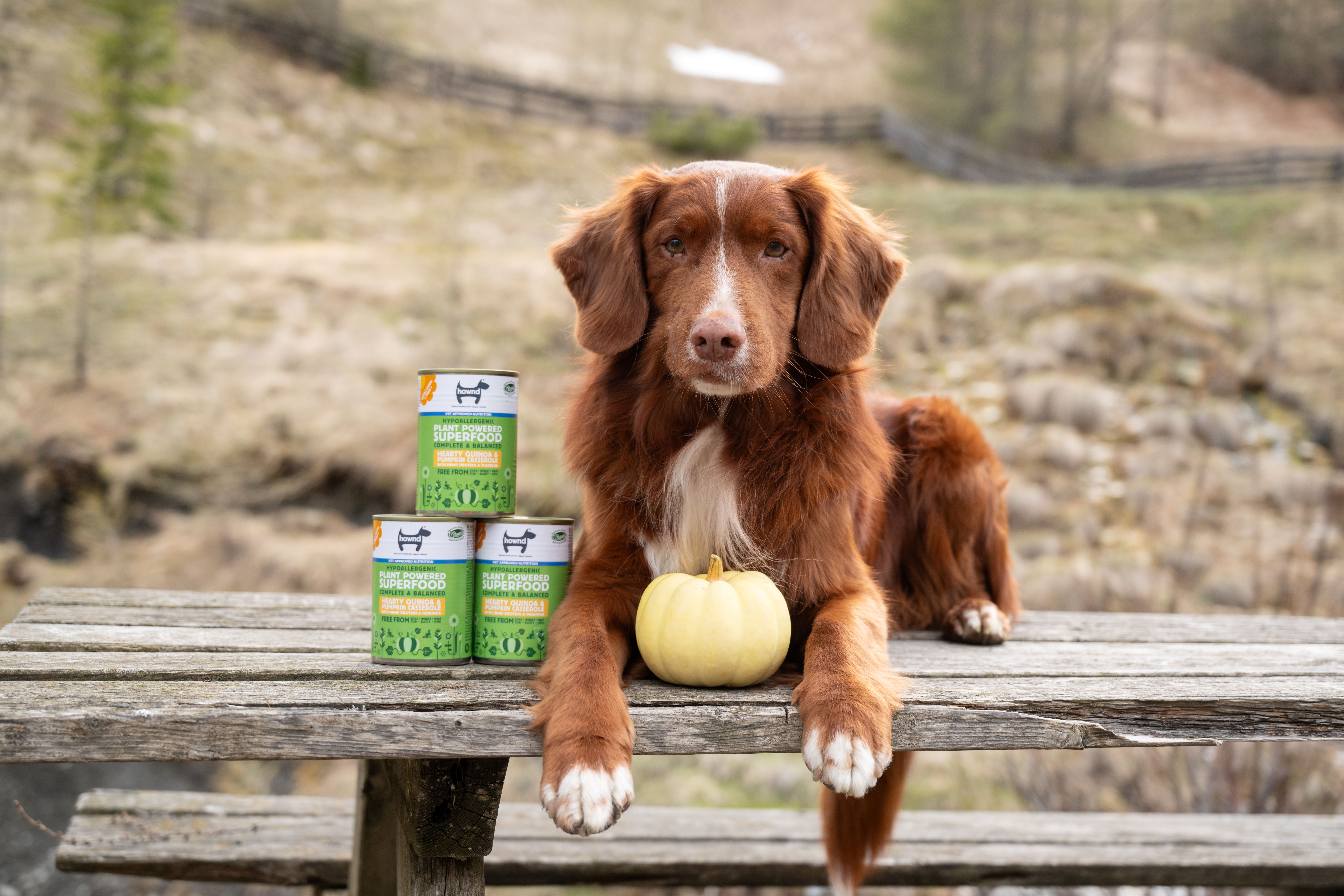 Hownd, Hearty Quinoa & Pumpkin Casserole with Organic Hemp Protein & Moringa (400g) - Image 2