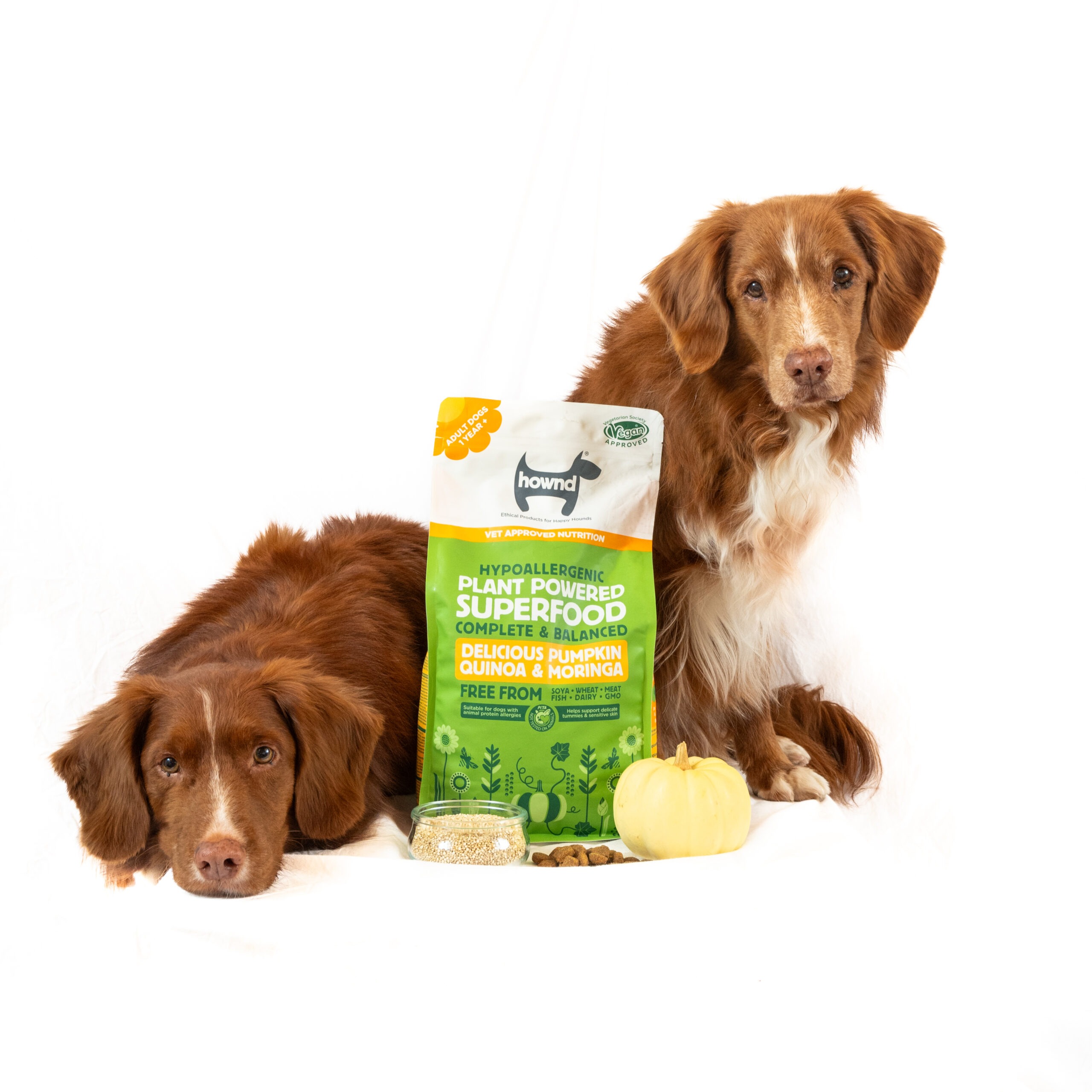 Hownd, Delicious Pumpkin Quinoa & Moringa Superfood - Image 2