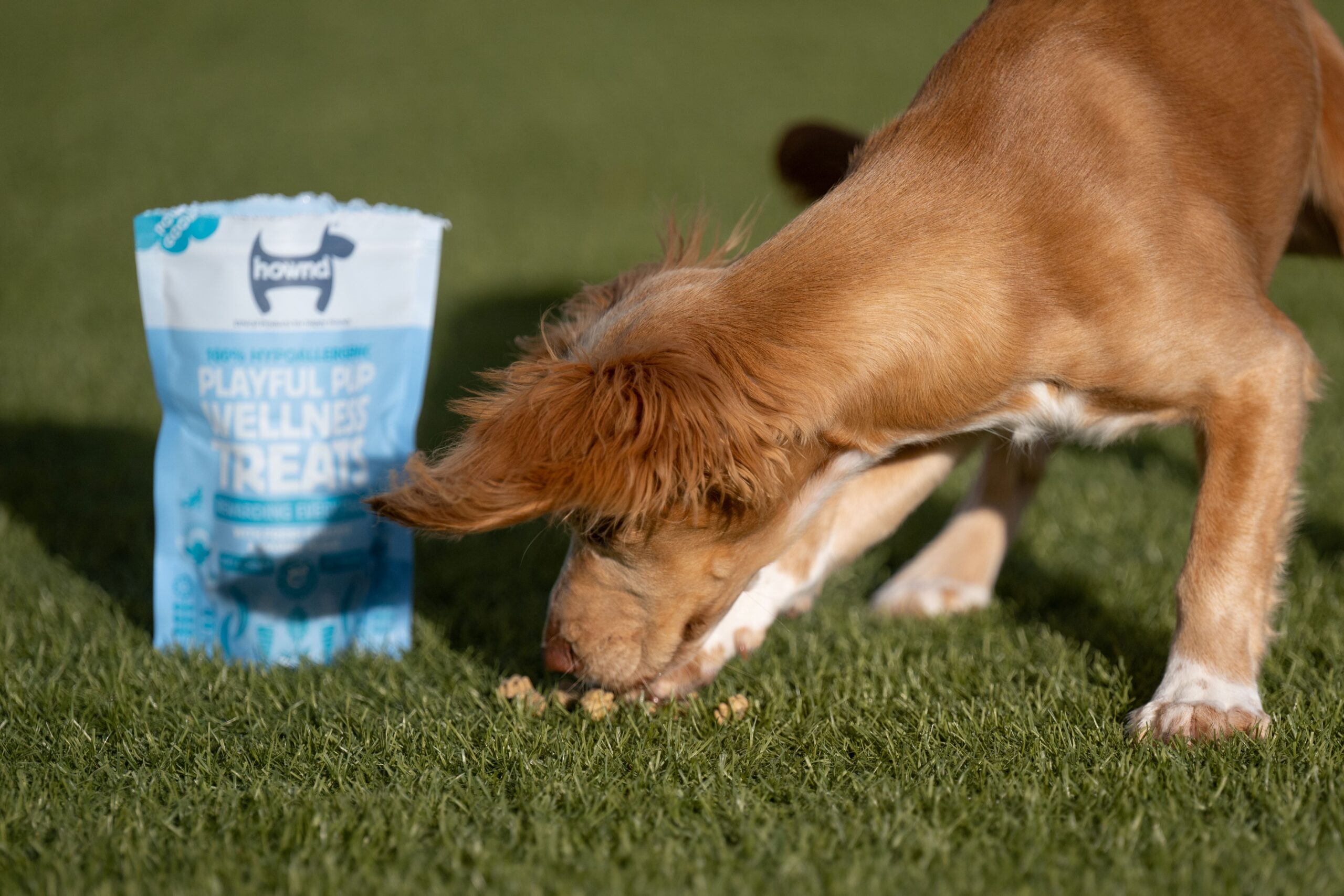 Hownd, Playful Pup Wellness Treats (100g) - Image 4