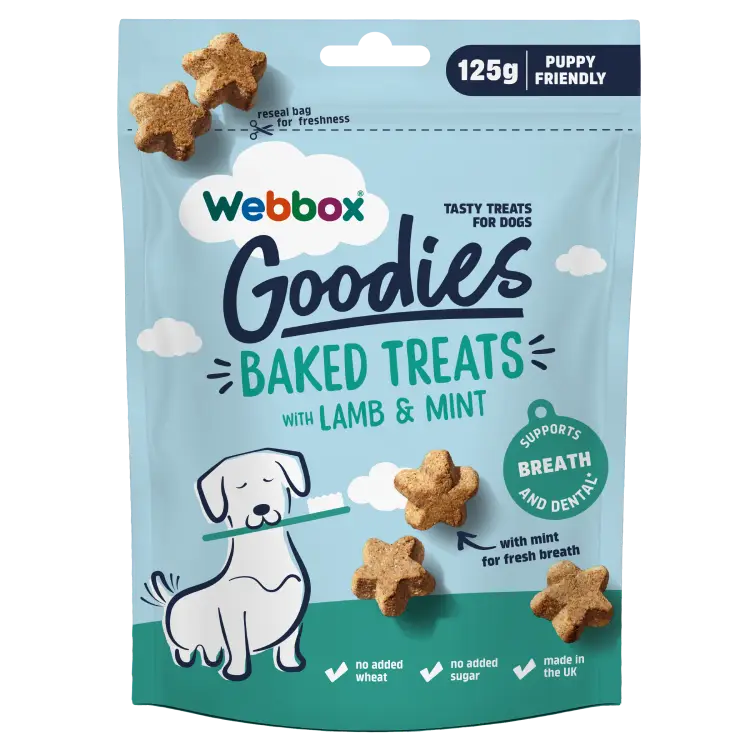 Webbox Goodies Lamb & Mint Baked Dog Treats 125g